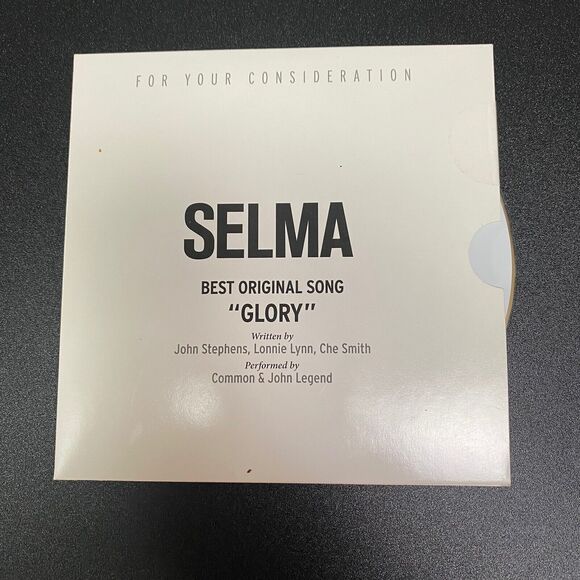 DVD For Your Consideration FYC Lot Luther, Into the Wild, Selma, The Kite Runner - Picture 7 of 9